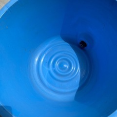 大型バケツ 水抜きドレン付の画像