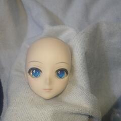雪ミク DD ドルフィードリーム