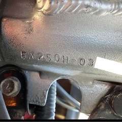カワサキ ZZR250の画像