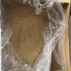 お米 10kg 2024年千葉県産
