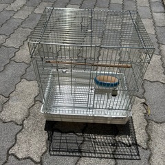鳥かご①