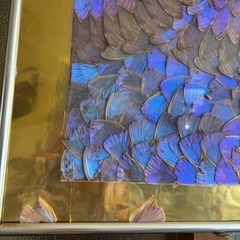 モルフォ蝶　アート　羽細工　大きいサイズの画像