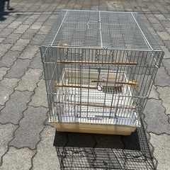 鳥かご②