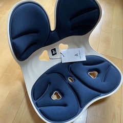 【近郊お届けのみ可】早い者勝ち　