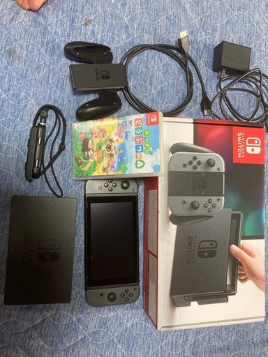 ニンテンドースイッチ、あつまれどうぶつの森