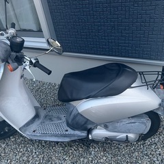 原付　トゥデイ　の画像