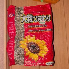 ハムスター飼育セットの画像