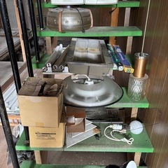 照明達
