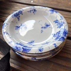 お皿5枚セット