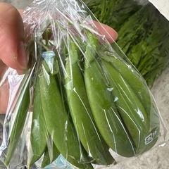 無人販売　新鮮野菜