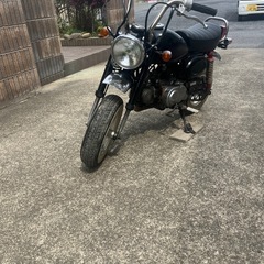 ホンダ　モンキーz50j 6vの画像