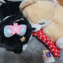 豆柴ぬいぐるみ2点