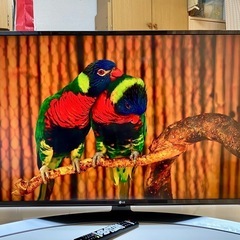 LG 4K,Wi-Fi対応 アプリ多数 43インチ液晶テレビ 43UJ630A