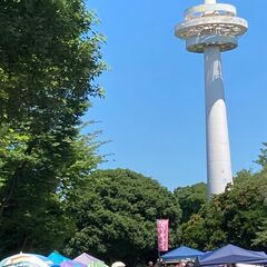 ☆６月７日（土）「所沢航空記念公園フリーマーケット」開催