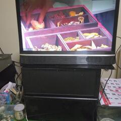 テレビの画像