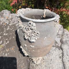 陶器製蛸壺