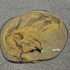 鳥よけの網