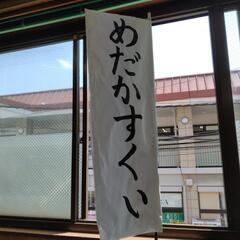 改良メダカ専門店パークス　メダカすくいやってます！
