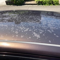 【取り引き中】車検取りたてR9.6.27まで！ダイハツ　ミライース　H24年式　ナビ付きの画像