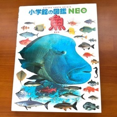 小学館の図鑑・NEO 魚