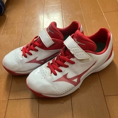 少年野球　アップシューズ　21cm