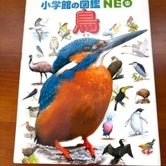 小学館の図鑑・NEO 鳥