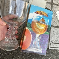 北のグラス