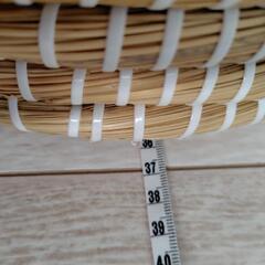 猫　かぐらの画像