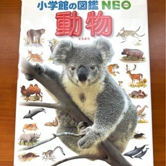 小学館の図鑑・NEO 『動物』