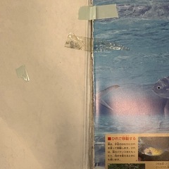 子供向け図鑑5冊の画像