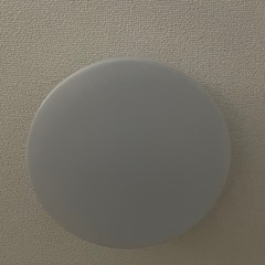シーリングライト