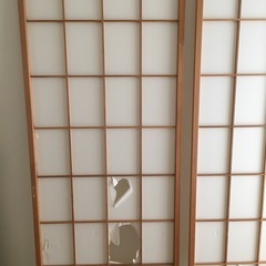 障子2枚　大きめ