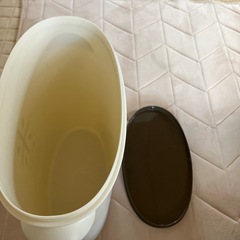 使い勝手の良い袋のまま収納・保存できる米びつ　 5kgの米袋が無駄なくピッタリ収まるの画像