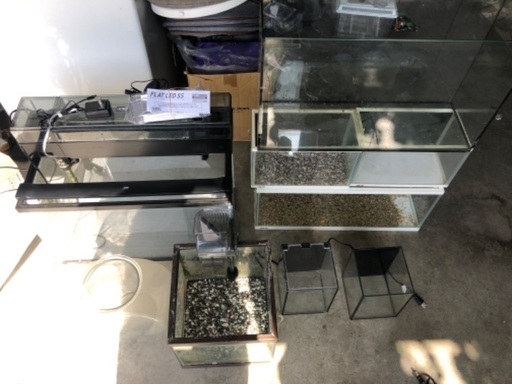 熱帯魚、観賞魚、水槽、用品いろいろ