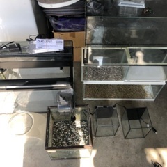 熱帯魚、観賞魚、水槽、用品いろいろ