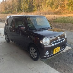ココアX