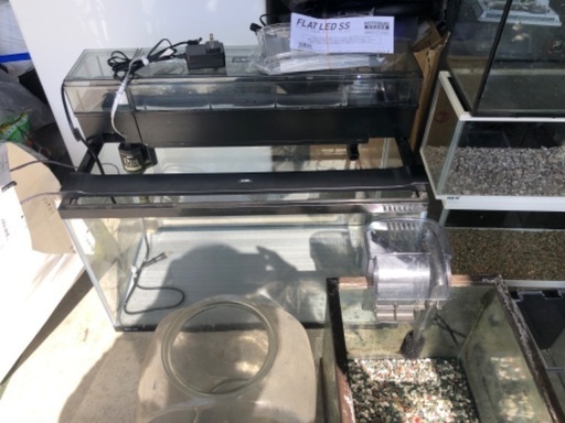 熱帯魚、観賞魚、水槽、用品いろいろ