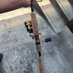 メジャークラフト　コルキッシュ　ダイワリールの画像