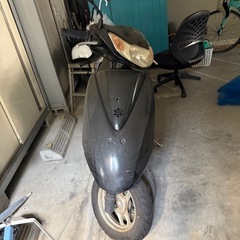 ライブデュオの画像
