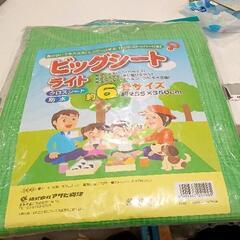 0504-174 レジャーシート