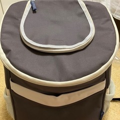 ペット　キャリー