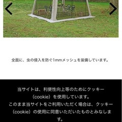 モンテ　メッシュタープ
