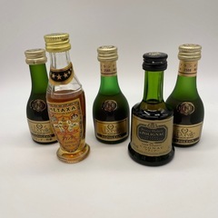 ミニチュアボトル　ブランデー５本セット