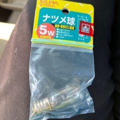 ナツメ球