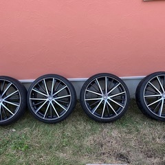 Lehrmeister PREMIX ORNELLAIA