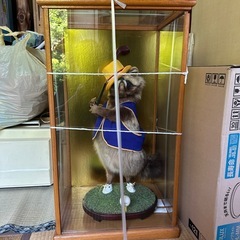 ゴルフしてるたぬきの置物