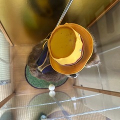 ゴルフしてるたぬきの置物の画像