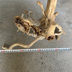 熱帯魚　流木　アクセサリー