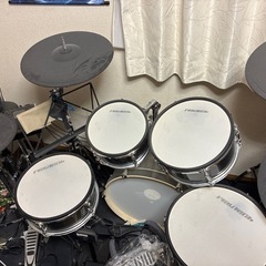 PLAYTECH ( プレイテック ) PDS-1000