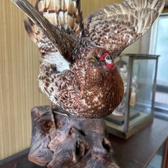 キジ剥製の画像